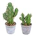 Produktbild HUAESIN 2 Pcs Künstliche Pflanzen im Topf Kaktus Kunstpflanzen mit Topf Sukkulenten Topfpflanzen Balkonpflanzen Mini Pflanzen für Tisch Haus Fensterbrett Balkon Büro Deko Grün