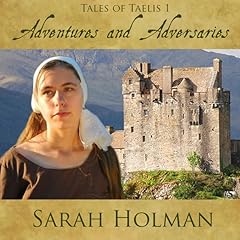 Adventures and Adversities Audiolibro Por Sarah Holman arte de portada