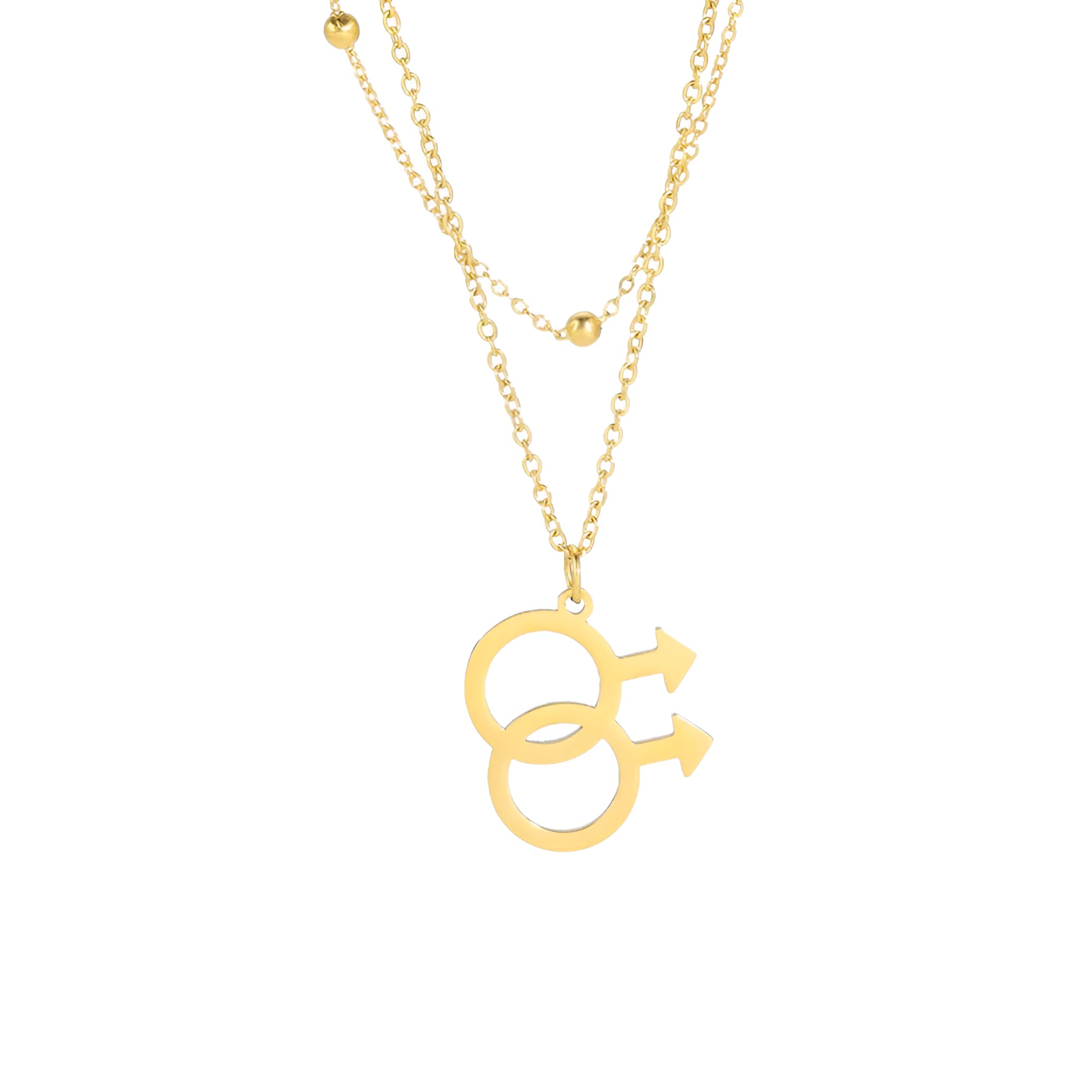 Feng Shui, Collar de Plata de Ley 925, Símbolo Gay Lésbico, Collares con Colgantes, Collar Bisexual, Collar Transgénero, Collar de Ella y Su Lesbiana, Collar Doble Venus, Collar