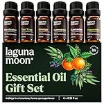 Essential Oils Set - Top 6 Blends for Diffusers, Home Care, Candle Making Scents, Fragrance, Aromatherapy, Humidifiers, Gifts - Peppermint, Tea Tree, Lavender, Eucalyptus, Lemongrass, Orange (10mL)
