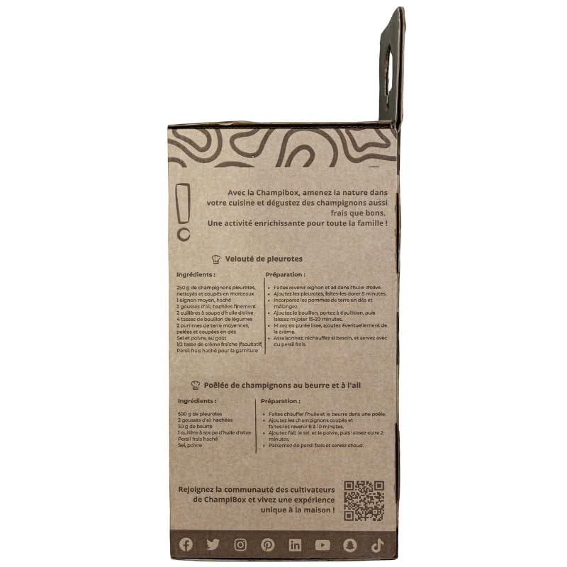 Kit de Culture de Champignons Pleurotes Gris Champibox™ (Pleurotus ostreatus) - Pleurotes Made in France - Gourmand et Éducatif - Idée Cadeau Originale et Naturelle pour Tous - Facile à Utiliser