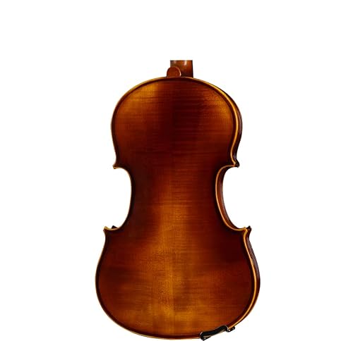 D Z Strad Viola Model 120 With Strings thumb #1