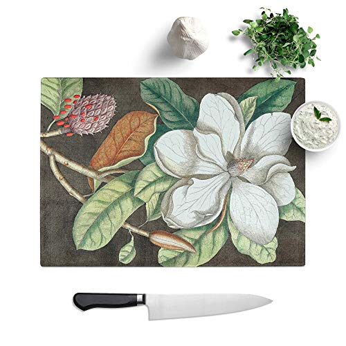 How to take laurel cuttings How to take laurel cuttings