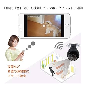 Amazon.co.jp: WB Japan PlugInCam ROBOT（プラグインカム
