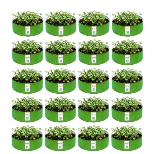 Image of Premium HDPE UV Stabilised GrowBag Size 18x6 Inch Pack of 20 | 260 GSM Round Shaped Green Colour | Suitable for Terrace and Vegetable Gardening