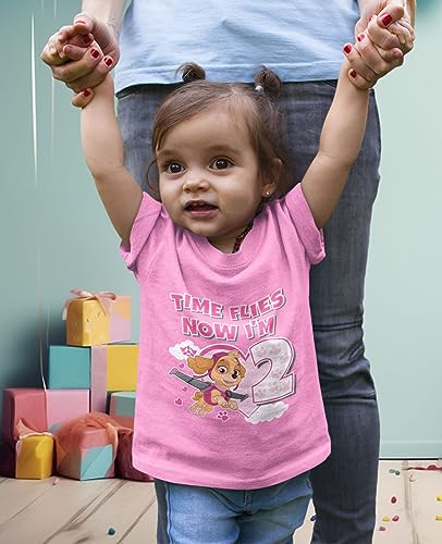 Tstars Time Flies 2nd Birthday Girl Shirt 2 Years Old Skye Paw Patrol Toddler Girls Fitted T-Shirt 4T Pink3