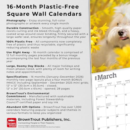 Maltese | 2026 12 x 24 Inch (Hanging) Monthly Square Wall Calendar | Plastic-Free | BrownTrout | Animals Small Dog Breeds - image 6