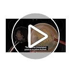 Woodenhouse-Kochloeffel-Holz-10-Stueck-Kochloeffel-Set-Holzloeffel-aus-Teakholz-fuer-das-Kochen-Holzkochloeffel-Pfannenwender-holz-Suppenkelle-10-Stueck-Perfekt-fuer-Antihaft-Natuerlich-und-Robust : Aus-Holz-gemacht....