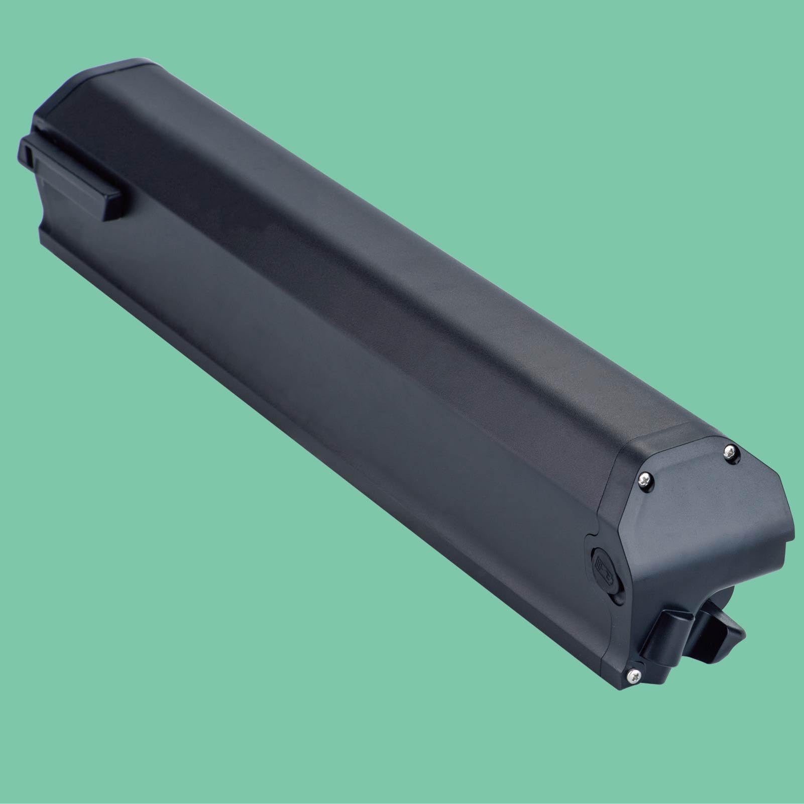Batteria Ebike 36V 15Ah ricambio per Dorado Plus bicicletta elettrica scooter Li-ion con caricabatteria (36V 15Ah)