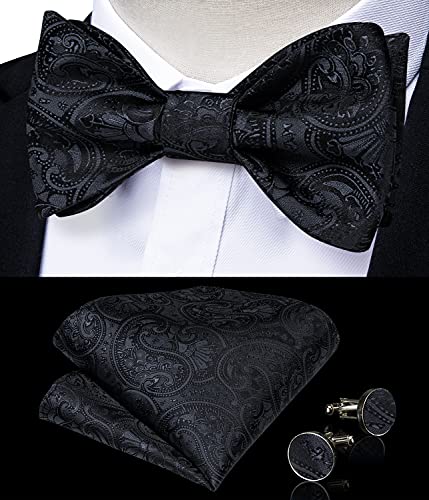 Image of DiBanGu Men Bow Tie Paisley Striped Self-Bow Tie for Men and Silk Woven Bowtie Pocket Square Cufflinks Wedding Party