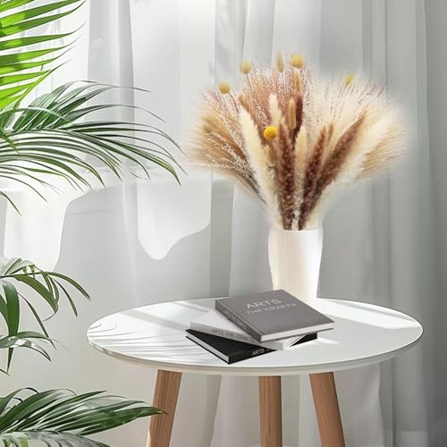 Decoración de Hierba Pampas Secas Boho miniatura 7