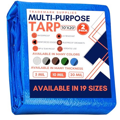 View 2