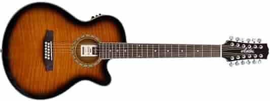 Amazon.com: Ashton SL29/12CEQ 12-String Electro-Acoustic