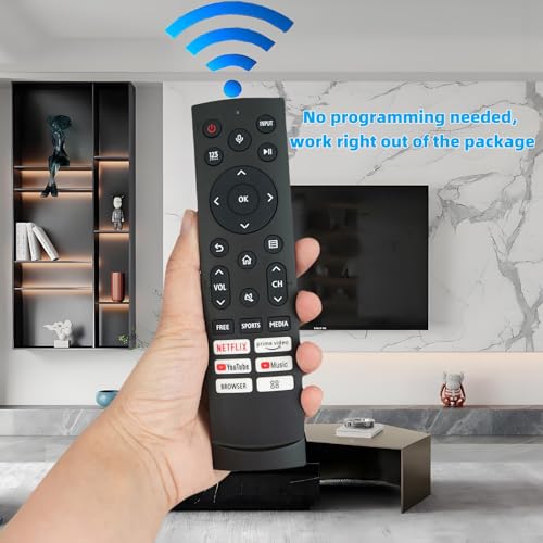 Télécommande ERF3H90H infrarouge stable compatible Hisense Smart TV 4K
