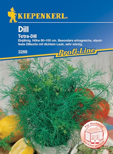 Kiepenkerl Profi-Line Dillsamen Tetra 3288 – Einjährig - Besonders ertragreiche, standfeste Dillsorte mit dichtem Laub, sehr würzig - Höhe 80-100 cm - Kräutersamen, Saatgut Kiepenkerl Profi-Line Dillsamen Tetra 3288 – Einjährig - Besonders ertragreiche, standfeste Dillsorte mit dichtem Laub, sehr würzig - Höhe 80-100 cm - Kräutersamen, Saatgut