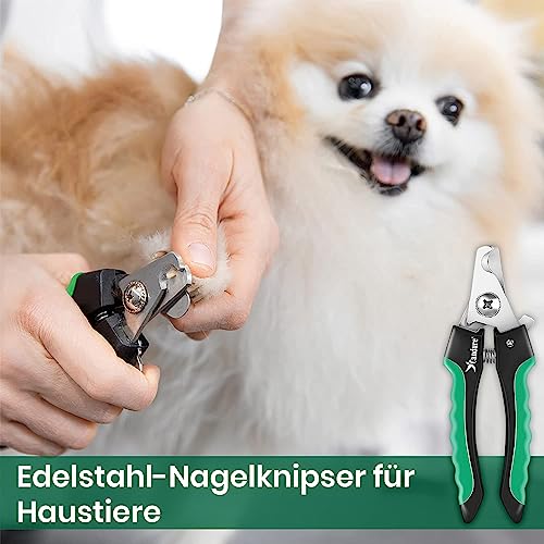 Candure Profi Krallenschere für Hunde und Katzen mit Nagelfeile Edelstahl Krallenzange Hohe Qualität Krallenpflege Schneider für Haustiere Nagelknipser groß Mit Sicherheitsschutz (Klein (S), Grün)