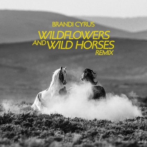 Brandi Cyrus feat. Lainey Wilson