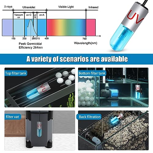 The 30 Best UV Aquarium Lights of 2024 [Verified] Cherry Picks