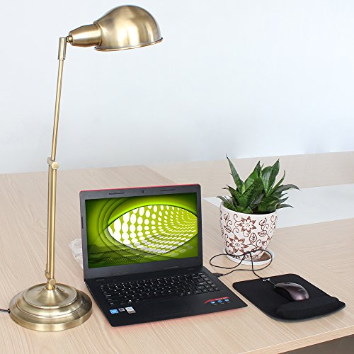 HAITRAL HT-TL619BR Desk Lamp Adjustable Flexible Arm Metal Basic