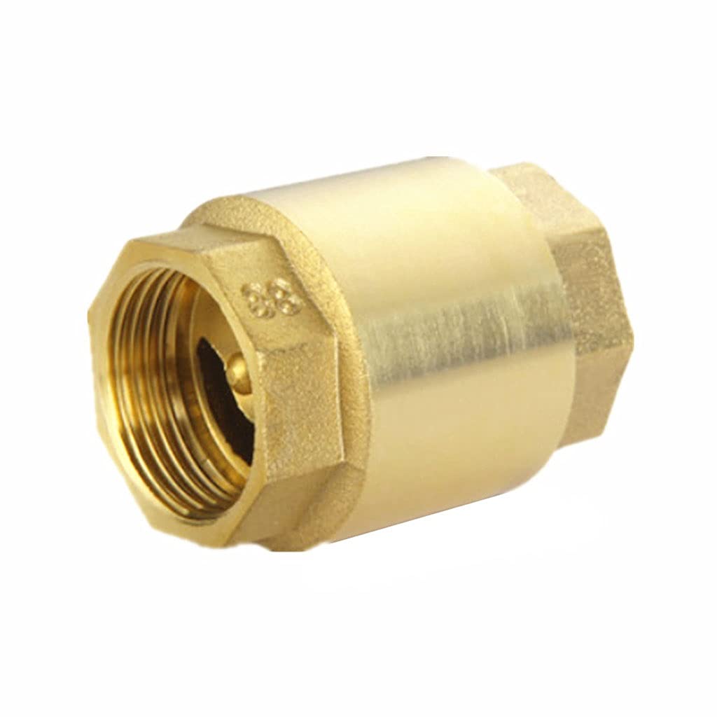 FIDALIKA Valvola di Non Ritorno in Ottone, 1/2 "3/4" 1 "1-1/4" 1-1/2 "2" Femme Femme Femneo Bocca Valvole di Controllo Verticale Valvole 1 PZ (Size : DN50)