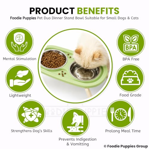 Image of Foodie Puppies Pet Duo Dinner Stand Stainless Steel Bowl - (Green) | Foldable Stand Bowl for Food & Water, Suitable for Cats, Puppies & Small Dogs | Elevated Feeding Station