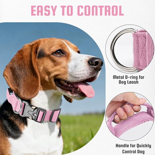 Ledeak Taktisches Hundehalsband mit Griff, Weich Gepolstert Verstellbares Hunde Halsband, Nylon Breit Trainings Halsband, Robuster Dog Collar mit Metallschnalle für Mittlere Große Hunde (Pink, M)