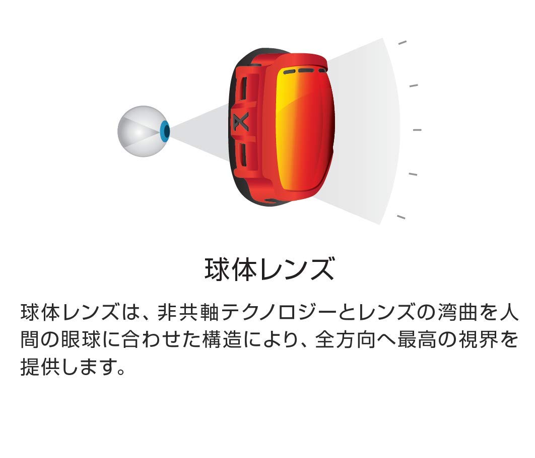 Amazon | Anon(アノン) スノーボード スキー ゴーグル メンズ レンズ