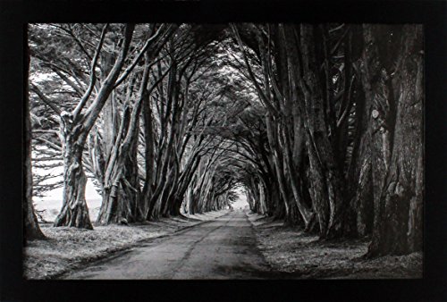 11x17 Black Gallery Picture Frame - Wide Molding - Includes Attached Hanging Hardware - Crystal Clear Plexiglass Front - Display Pictures 11 x 17 Inch Photos - Legal Paper and Digital Photography Size