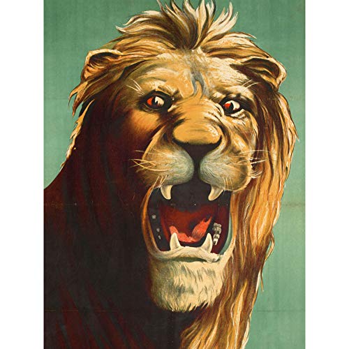 Dangerfield Roaring Lion Big Cat Wall Art Poster