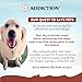 Addiction Viva La Venison Dog Food – Grain-Free Dry Dog Food with Novel Protein & Prebiotics, No Chicken, Beef, or Turkey – Ideal for All Dogs & Puppies – Made in New Zealand 4lb