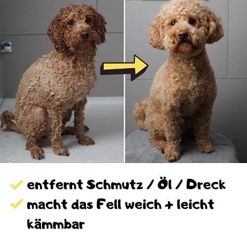 Moki Bär Hundeshampoo wit wertvollem Arganöl aus Marokko I Für geschmeidiges Fell und Gute Kämmbarkeit I Made in Germany