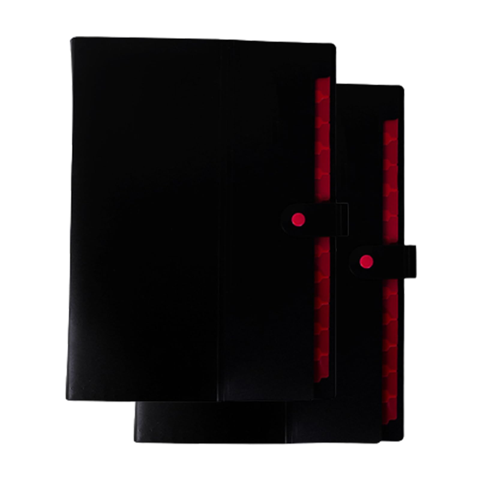 Carpetas, organizador de documentos, almacenamiento de archivos protector, organizador de documentos de archivos de 2 piezas, carpetas de documentos de acordeón, carpeta de almacenamiento de archivos