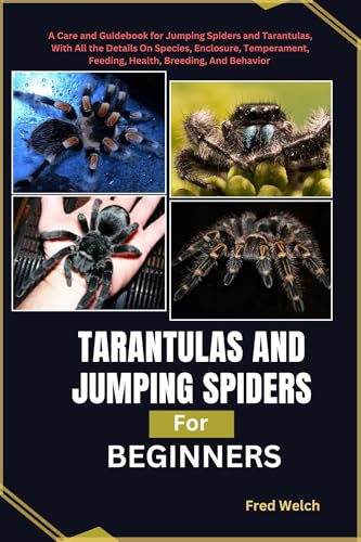 Tarantulas and Jumping Spiders for Beginners: A Care and Guidebook for Jumping Spiders and Tarantulas, with all the details on species, enclosures, ... ... feeding, health, breeding and behaviors