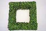 Preserved Boxwood Square Wreath 20 in. Tradingsmith