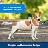 PetSafe Easy Walk Geschirr, zugfreies Gehgeschirr für Hunde, verstellbare Passform, inkl. 1,8 m Leine, Small-Schwarz/Beige
