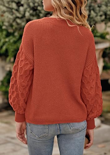 PRETTYGARDEN Women's Fall 2025 Pullover Sweater Casual Long Sleeve Loose Chunky Knit Tops Blouse Winter Fashion Clothing4