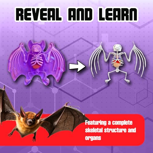 Image of Top Secret Toys Dissect-It Mini Labs Bat Lab Dissection Kit for Kids, Realistic Synthetic Kids Science Kit - On, Biology and Animal Anatomy, STEM Toy, Ages 6+