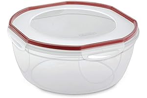 Large Clear Plastic Bowl with Lid