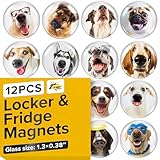 Super Cute Fridge & Locker Magnets – 12 Glass Magnets with Vibrant Colors – Strong Hold for Photos, Notes, Recipes – Aesthetic Refrigerator Decoration - Perfect for School & College Locker
