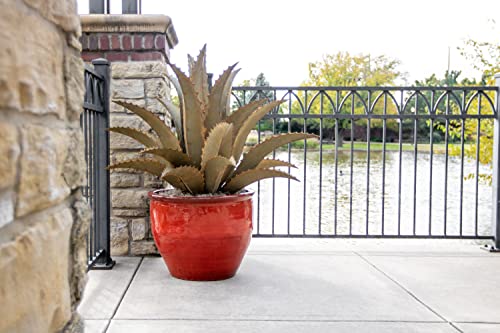 Desert Steel Sawtooth Agave - Indoor/Outdoor Metal Yard Art & Yard Decor, All Weather - Thumbnail 7