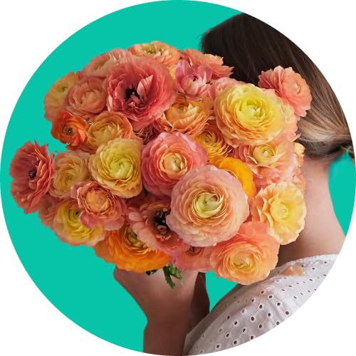 Seasonal Allergies Treatment & Symptoms | Request a prescription for allergy pills, antihistamines, nasal steroid medication, allergy eye drops from an online doctor, NP, or PA