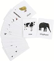 Vista 6 de Tarjetas didácticas del alfabeto para niños pequeños, tarjetas flash ABC, palabras visuales, aprendizaje de ortografía, tarjetas educativas