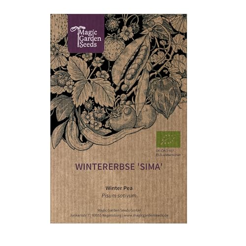 Pois d'hiver 'Sima' (Pisum sativum) env. 50 graines bio variété rare culture d'hiver