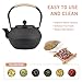 SECHUDO Small Tea Kettle, 40oz Tea Pot, Japanese Tetsubin, Cast Iron Teapot with Infuser for Stovetop Safe Coated with Enameled Interior (Black, 1200ml)
