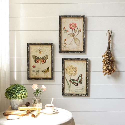 NIKKY HOME Set of 3 Vintage Butterfly Wall Art Poster