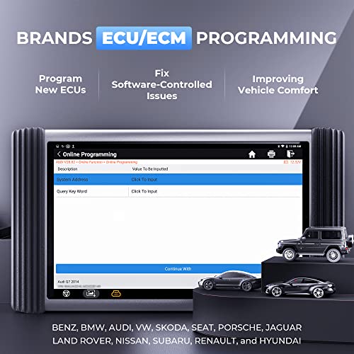 TOPDON Phoenix Pro ECU/ECM Programming Scan Tool, Bi-Directional Control, All System Diagnostic Scanner, Online Coding, 34+ Maintenance Service, OE-Level Diagnosis, 2 Years Free Update