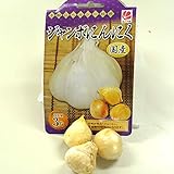 【ジャンボにんにく】 種 球根 3片 国産（島根県産） （植え付け時期11月上旬まで）