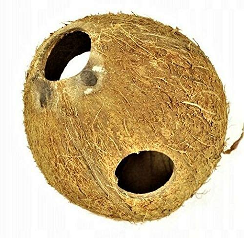 TM Aquatix Aquarium Decoration Coconut Cave Shelter Fish Tank Hamster House Wood Shrimps Size:1/1 Unbrushed