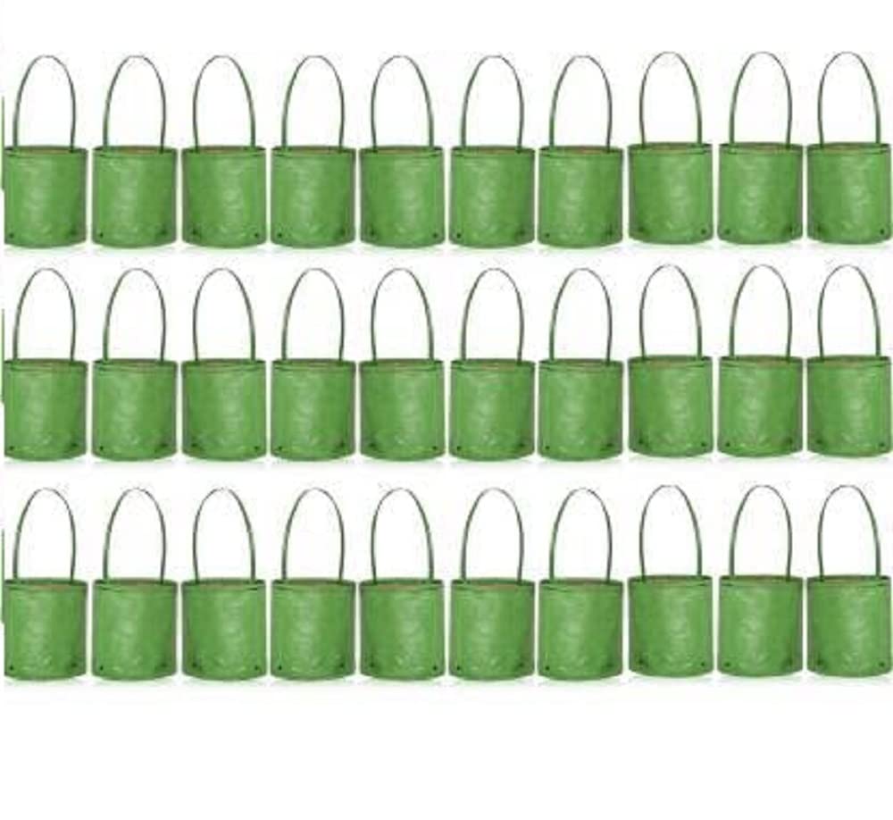 SCOTMEN Grow Bags with Eyelets for Terrace Home Gardening with UV Stabilized Material Gifting Plant Growbag with Handle 5x5 inch - Pack of 30 Green Grow Bag (B09Y8ZHW9D) Amazon Price History, Amazon Price Tracker