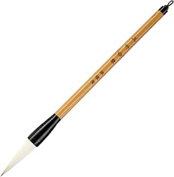 51sWwbTriKL._AC_UF350,